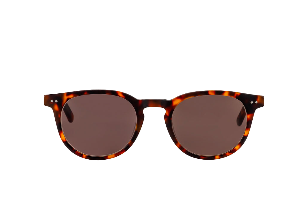 Clarke Sunglasses (Brown) Front View