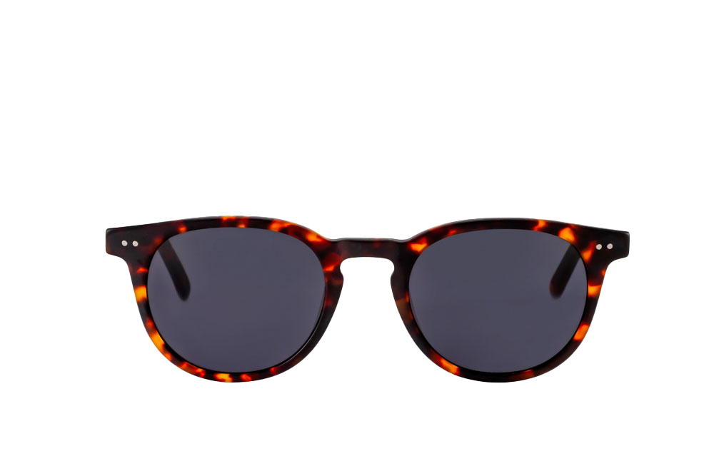 Clarke Sunglasses Readers (Grey) Front View