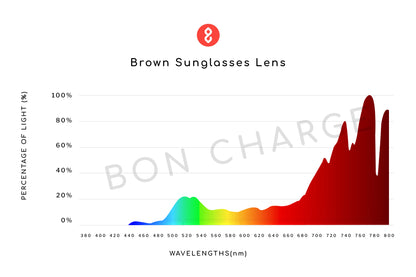 Denver Sunglasses Readers (Brown)